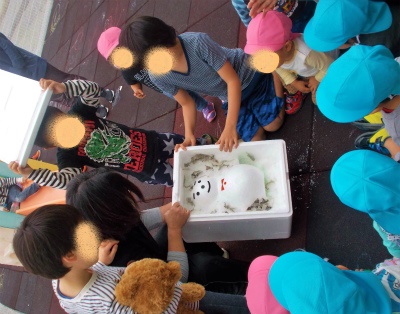 DSCN3764_LI-3