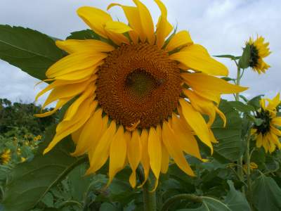 DSCN9076