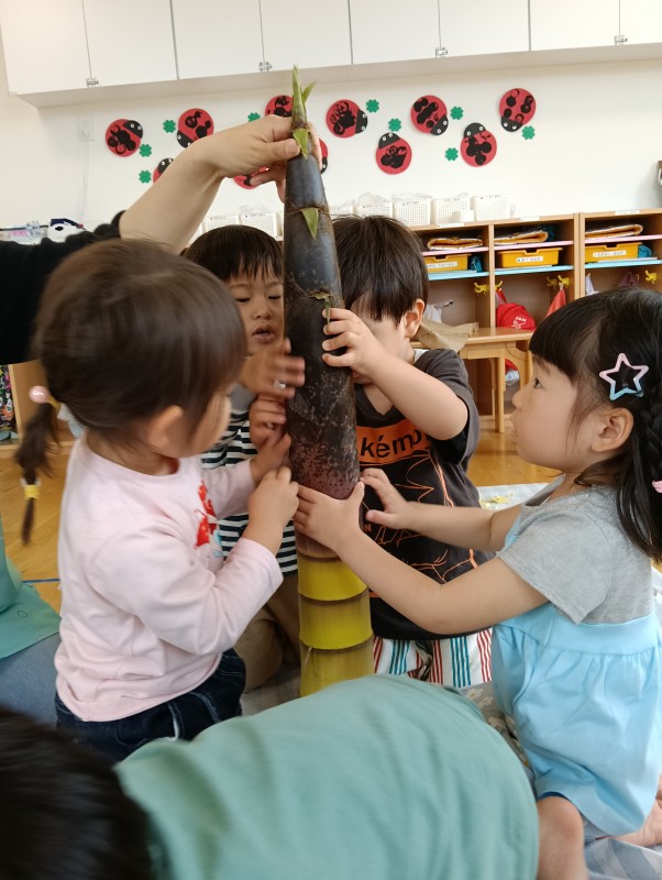 IMG20260512104303