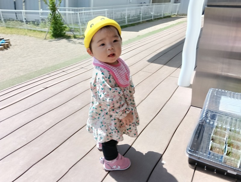 IMG20260511101811