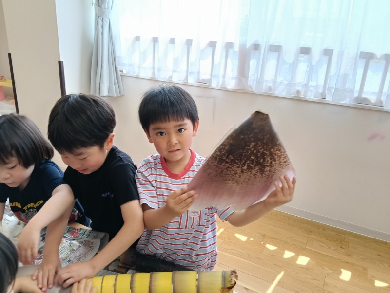 IMG20260512101658