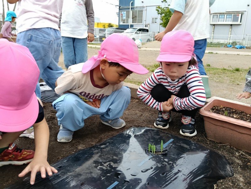 IMG20260528094117
