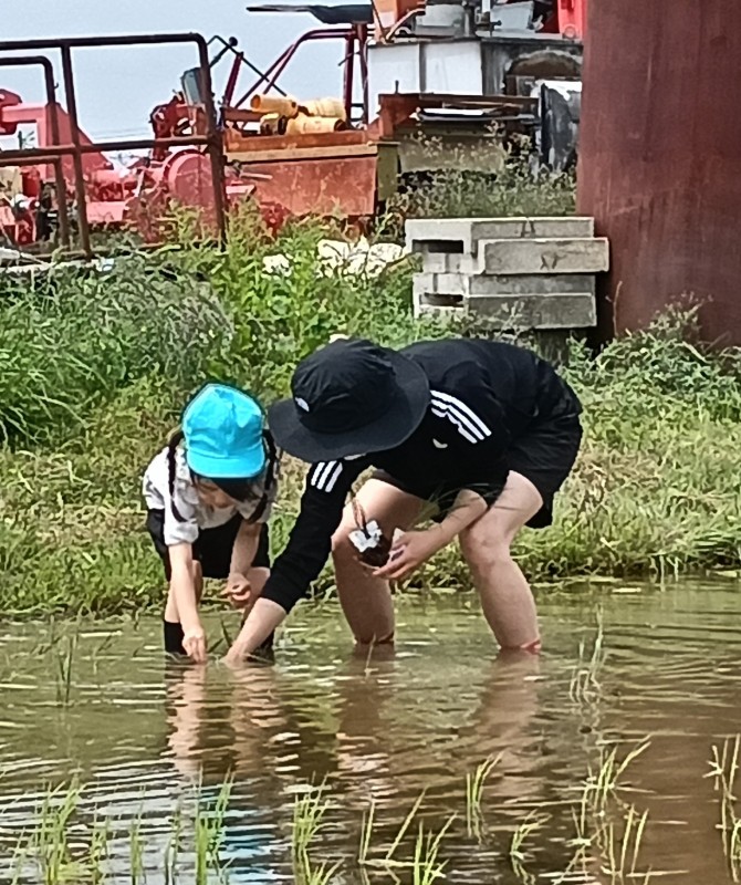 IMG20260528101947