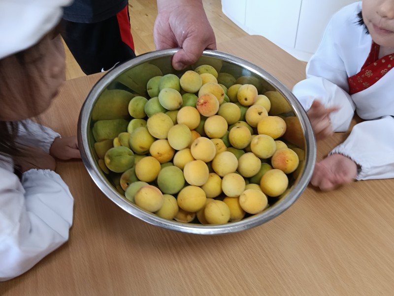 IMG20260703093844