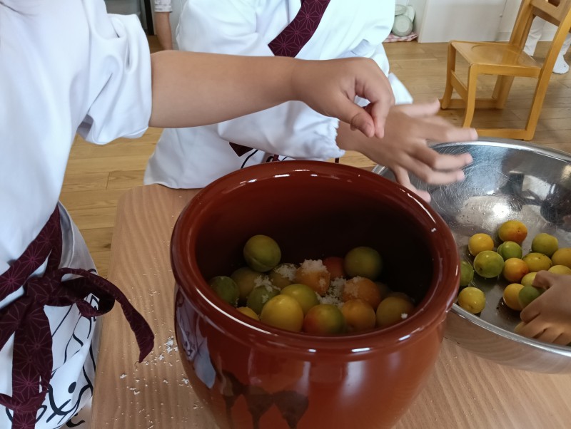 IMG20260703101250