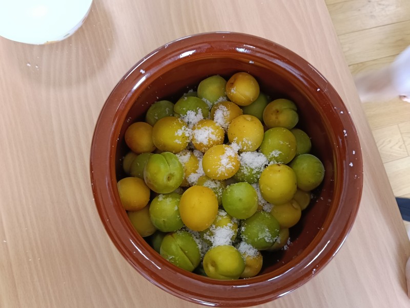 IMG20260703101617