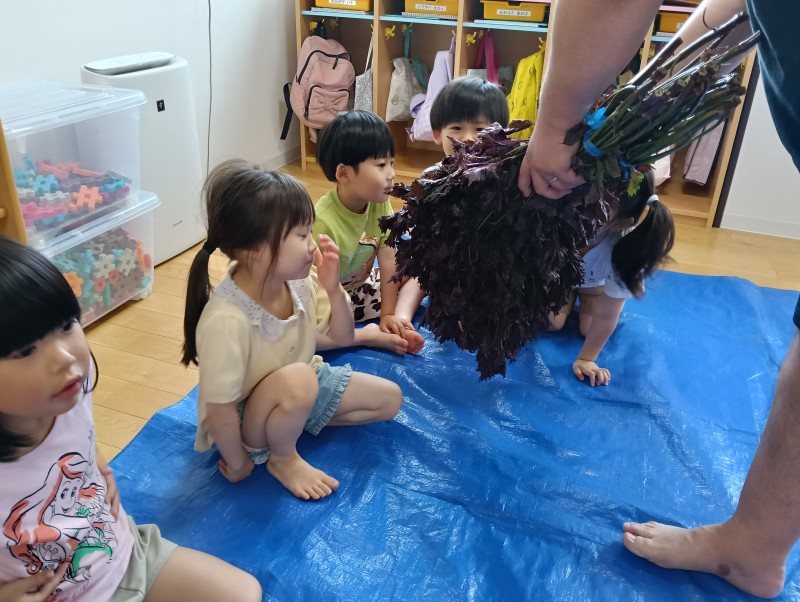 IMG20260709092626