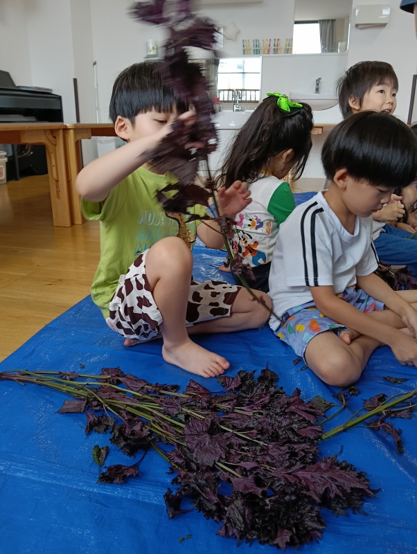 IMG20260709093917
