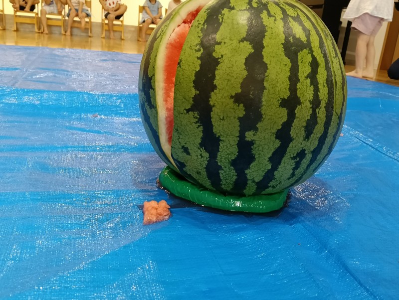 IMG20260807102616