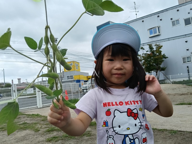 IMG20260805094220