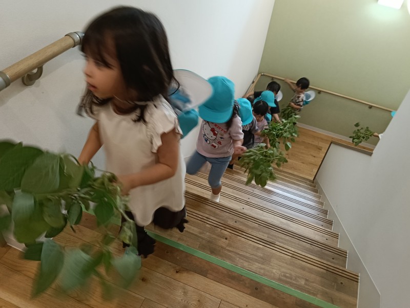 IMG20260805095934