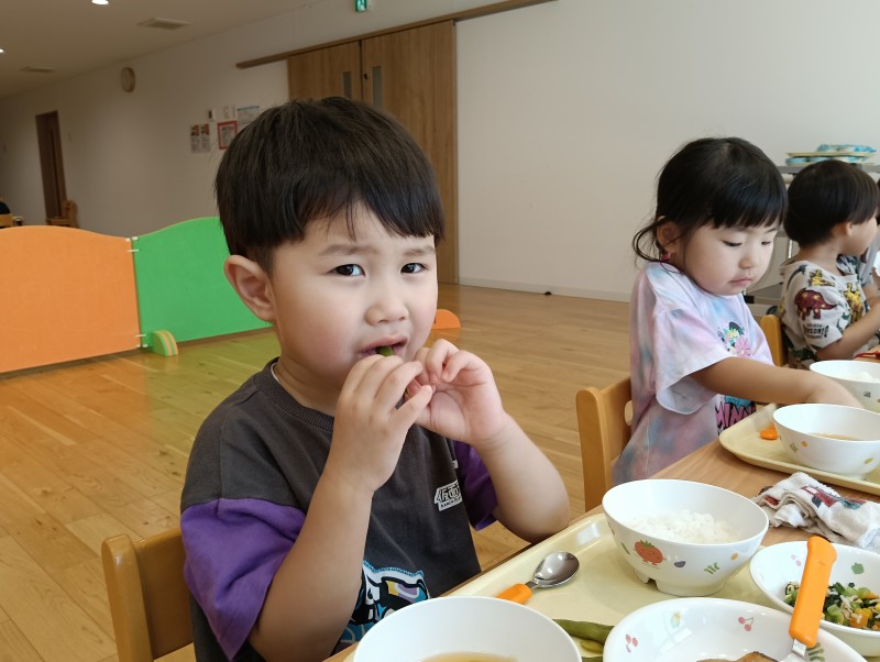 IMG20260805111940