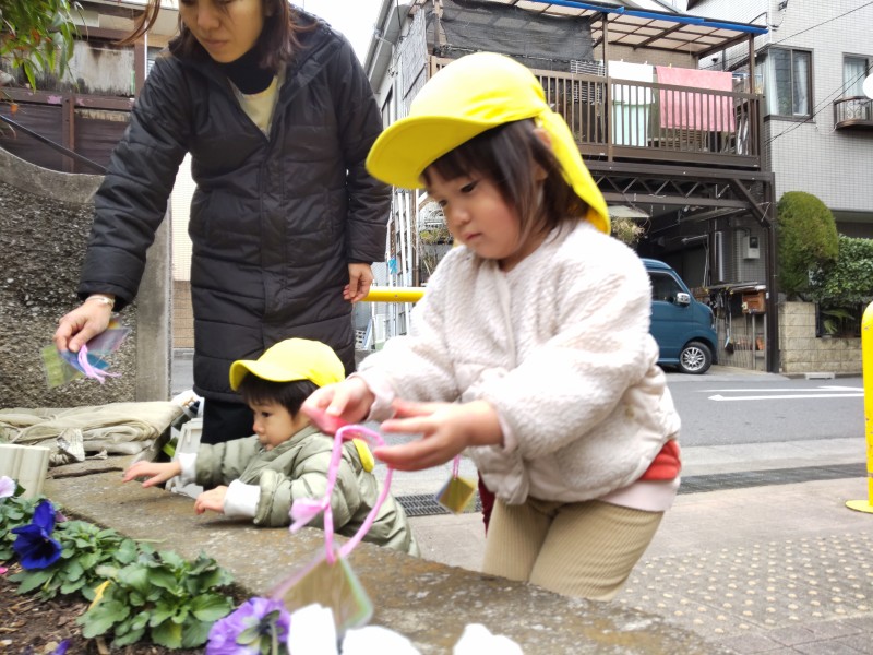 .trashed-1771468758-DSC_0420