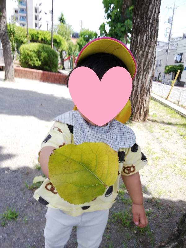 IMG_20260601_101630