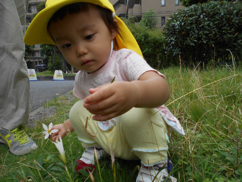 DSCN3781
