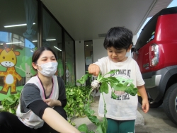 1207④