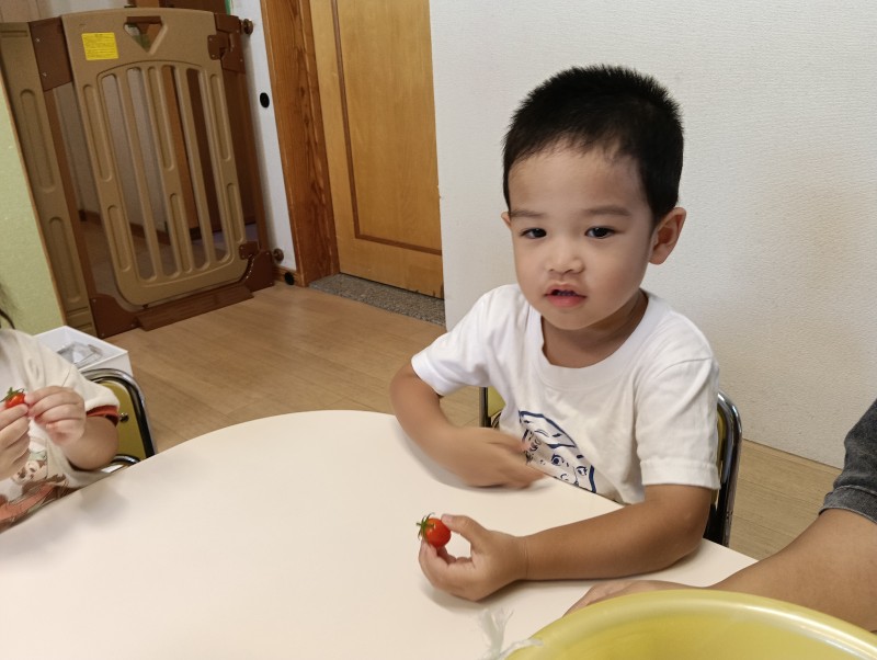 IMG20260729102623
