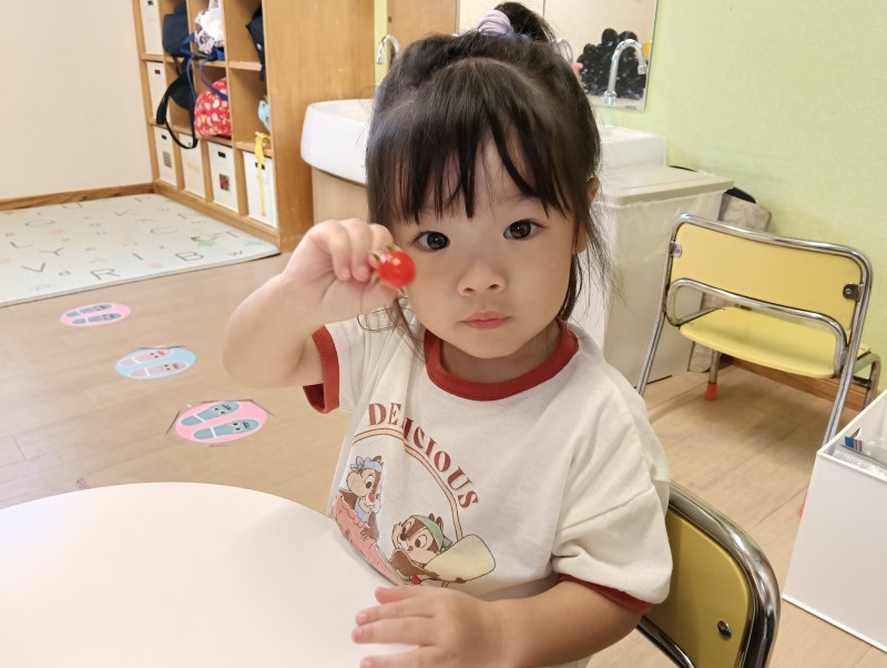 IMG20260729102646