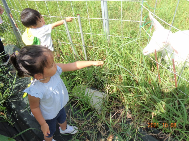 DSC08972 (2)