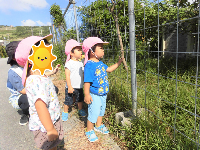 CIMG5724 (2)