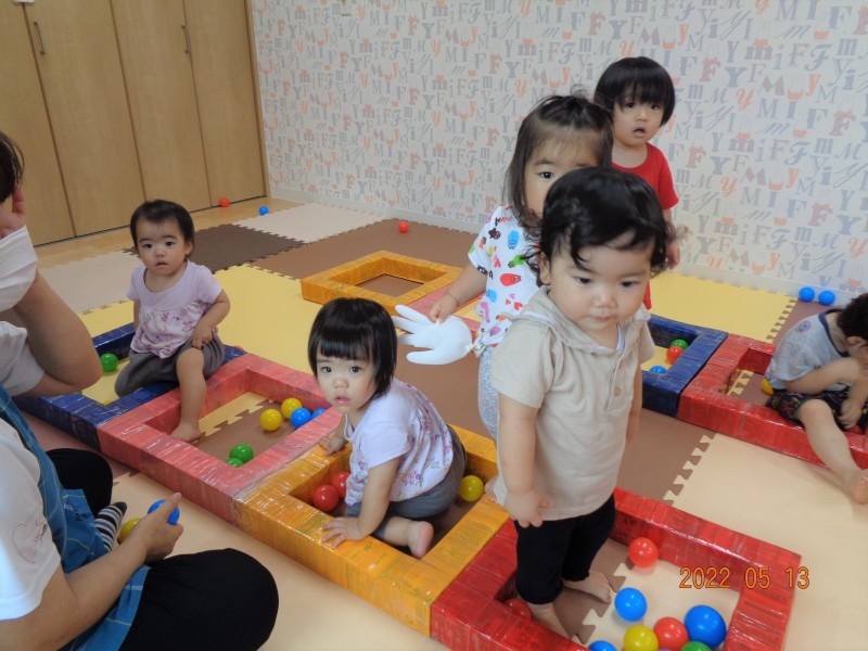 DSC02971 (2)
