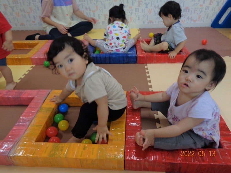 DSC02979 (2)