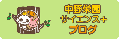 中野栄園サイエンス+ブログ