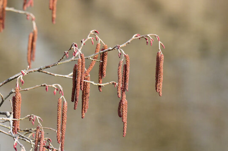 スクリーンショット 2026-03-31 105124