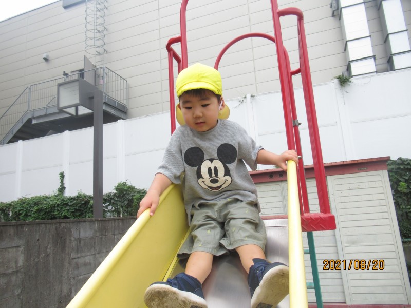 その他 小田原園サイエンス Blog