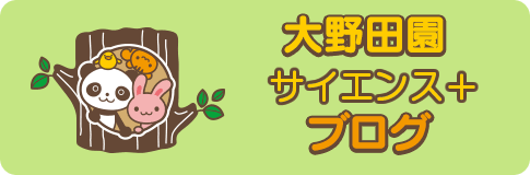 大野田園サイエンス+ブログ