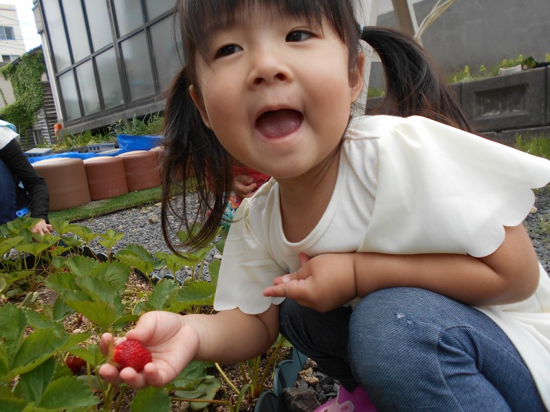 DSCN8893