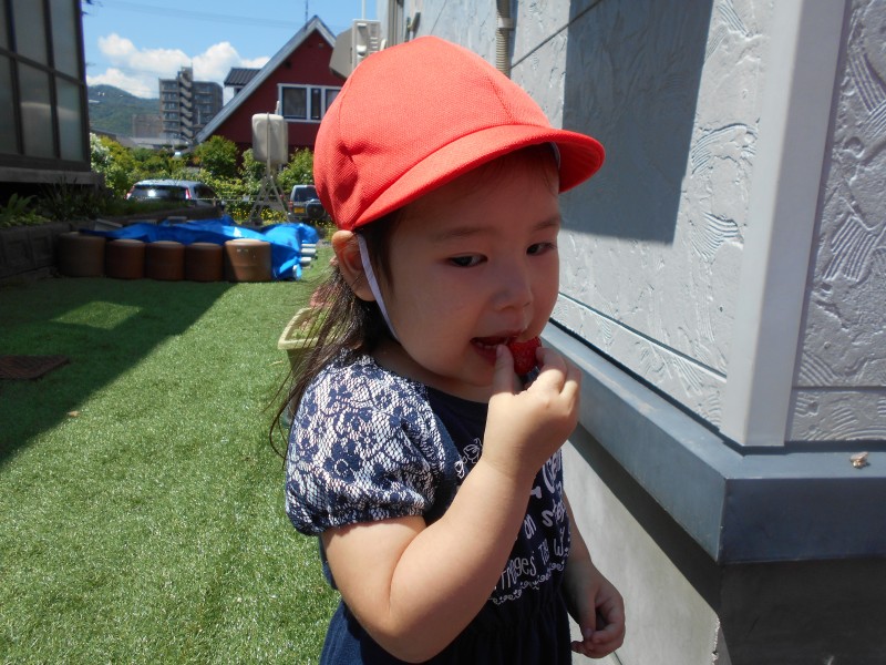 DSCN8956