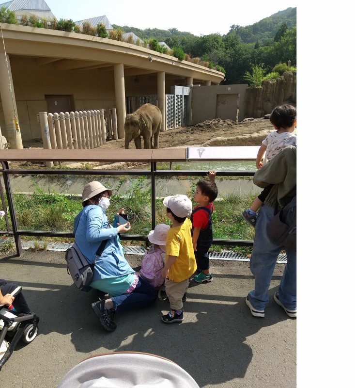 ぞう
