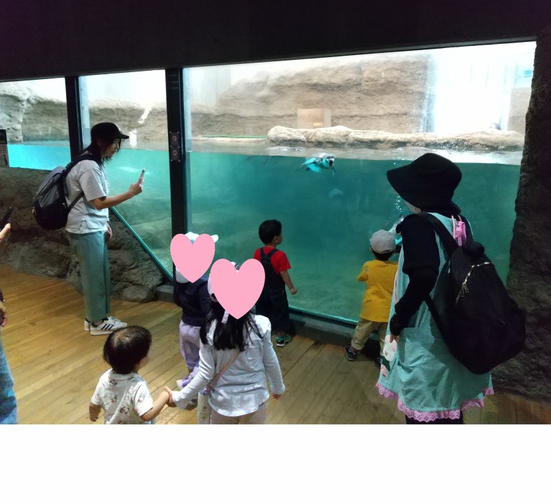 ペンギン
