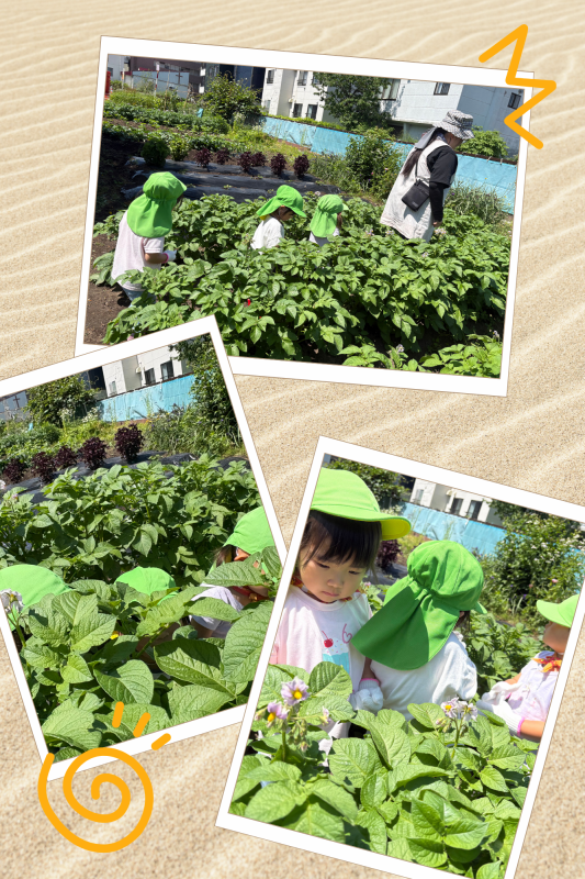 Brown and Green Aesthetic Pre Nuptial Photo Collage