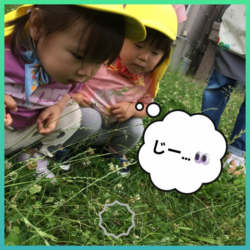 7月 保育2
