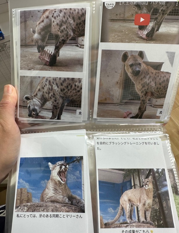 動物写真2