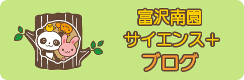 富沢南園サイエンス+ブログ